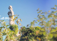 A statue at Mount Moriah cemetary