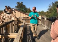 Voice of the Wild